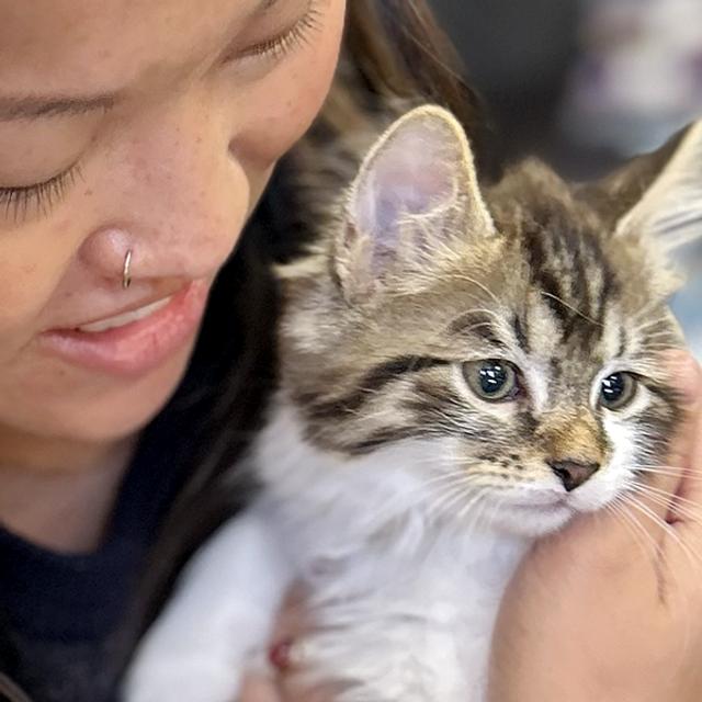 How One Backyard Stray Inspired a Mission to Save Cats in San Bernardino