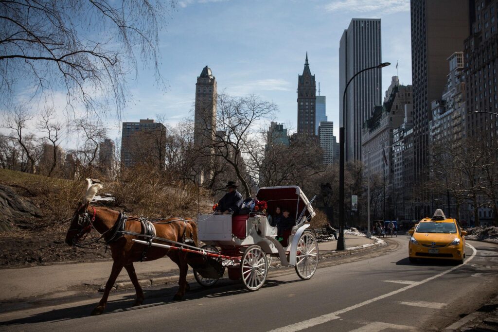 New York City Plans to End Central Park Horse-Drawn Carriage Rides by 2028