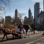 New York City Plans to End Central Park Horse-Drawn Carriage Rides by 2028