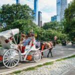 New York City Votes to Ban Central Park Horse-Drawn Carriages by 2028